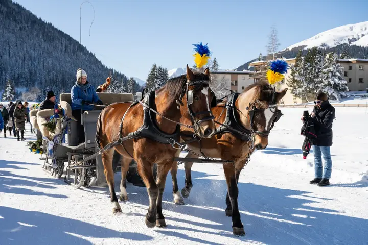Die Kutsche mit zwei Pferden fährt über die Schneefläche