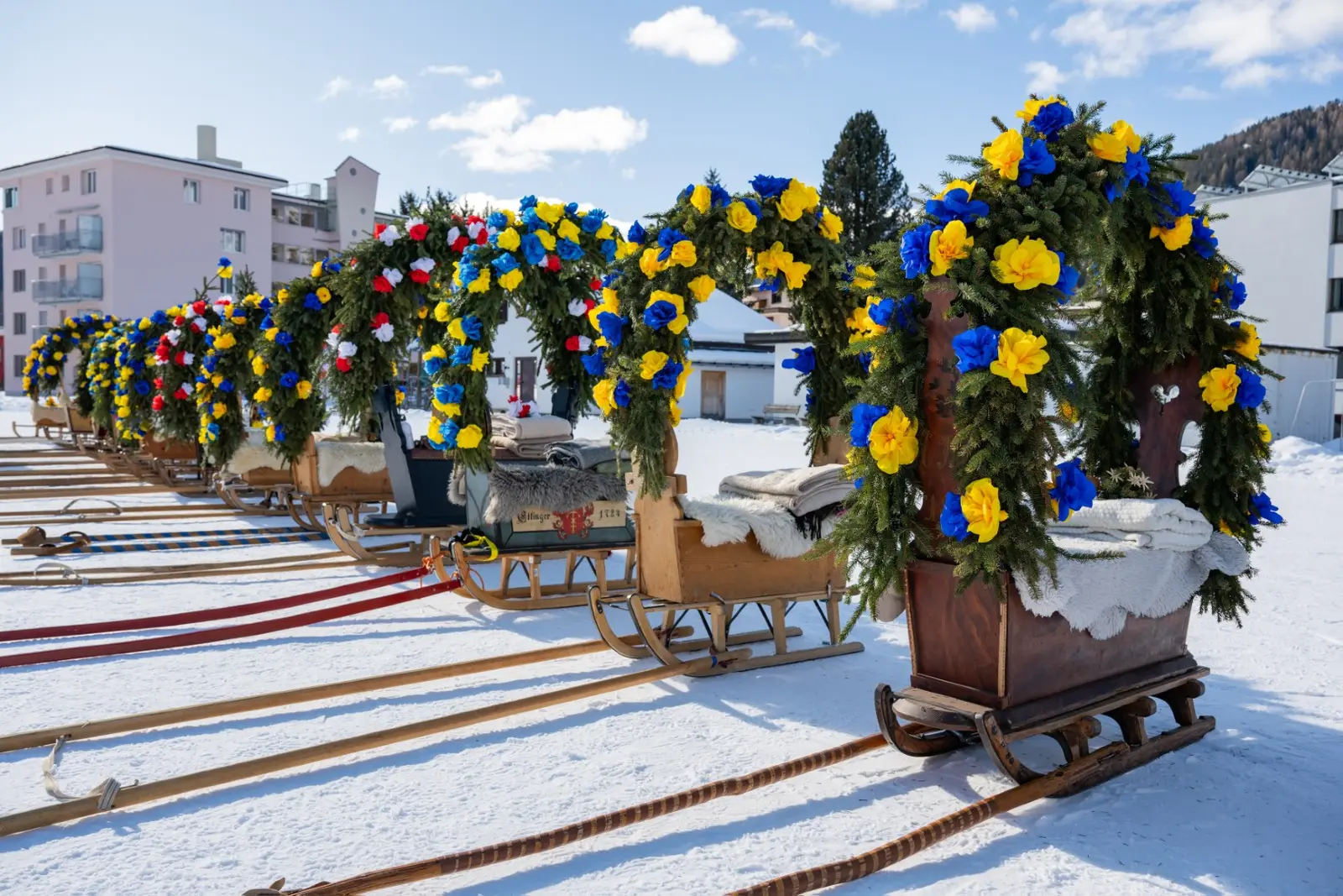 Aufgestellte Rennbänna mit Rosenbögen aus Tannenzweigen und blauen und gelben Papierrosen in einer langen Reihe