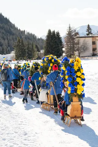Die Rennbänna ziehen in einer Reihe über den Winterweg