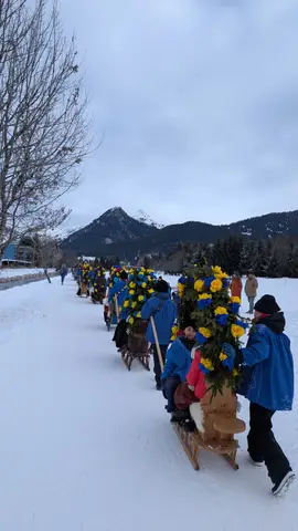 Die Rennbänna in einer Reihe auf dem Winterweg